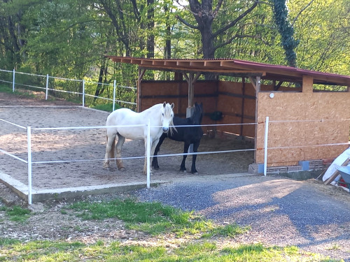 Calypso und Romeo